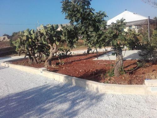 Bed & Breakfast Masseria Centro Colonico