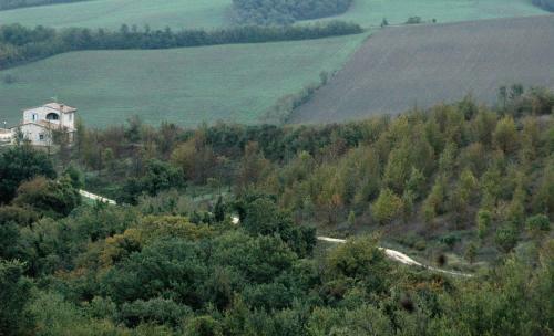 Bed & Breakfast Il Poggio Del Tartufo