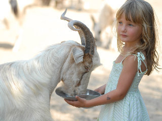 Hotel Arbatax Park Resort Il Villaggio