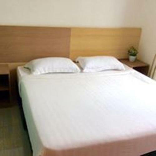 Dolphin Hotel