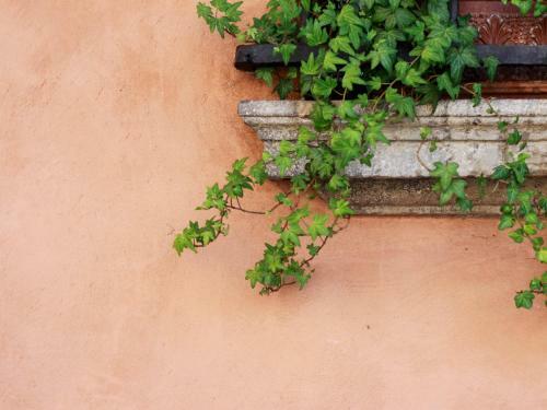 Bed & Breakfast Casa Isolani - Santo Stefano