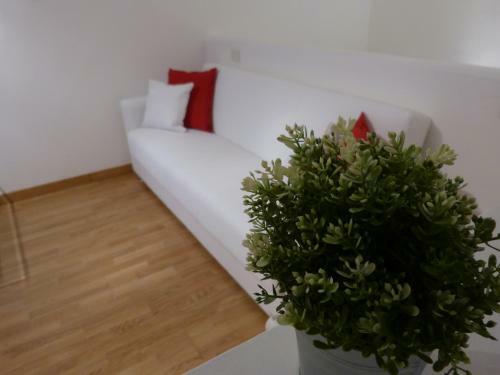 Apartamento Residenza Piazza Santo Stefano