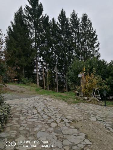 Agroturismo Agriturismo Davide