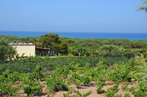 Hotel Costa Del Turchese