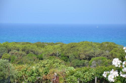 Hotel Costa Del Turchese