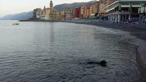 Apartamento Infinity Mare/monte
