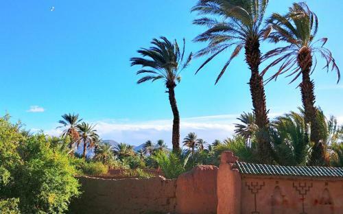 Hostal Dar Jnane - La Maison Du Jardin