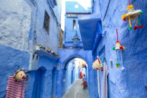 Riad Antek