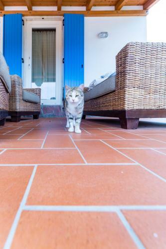 Bed & Breakfast Villa Brigida