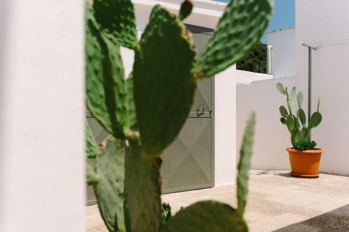 Apartamento Masseria Cervellera