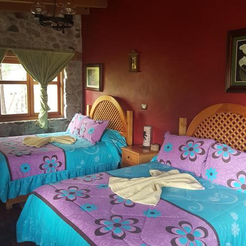 Villa Rancho San Antonio