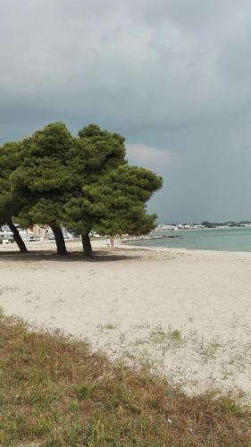 Bed & Breakfast L'angulus Ridet