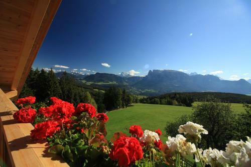 Agroturismo Unterpfaffstall-hof