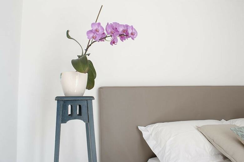 Bed & Breakfast Dei Balzi Dimore Di Charme