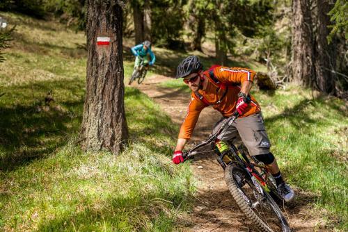 Gasthof Hotel Terzer