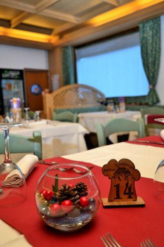 Hotel Albergo Alpino
