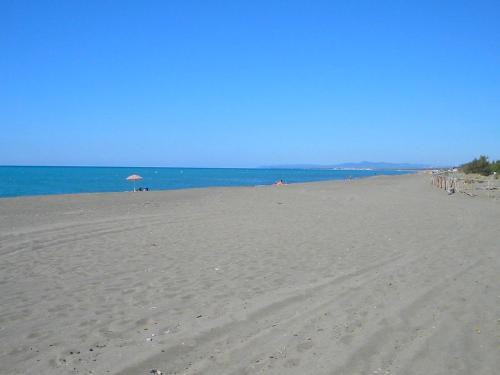 Locazione Turistica Pineta.3