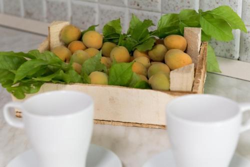 Bed & Breakfast Relais Regina Rosanna