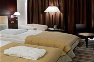 Dnister Premier Hotel