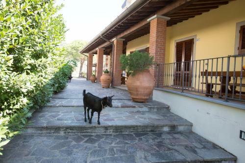 Agroturismo Agriturismo Poggetto