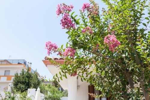 B&B Il Portico