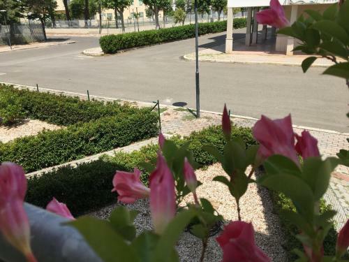 Hostal Pensione Afrodite