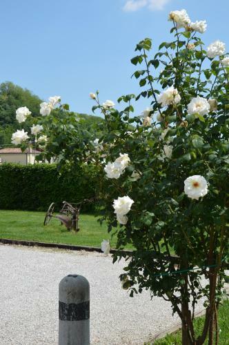 Agroturismo Agriturismo Morgan