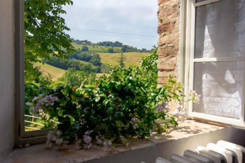 B&B La Residenza Del Poeta
