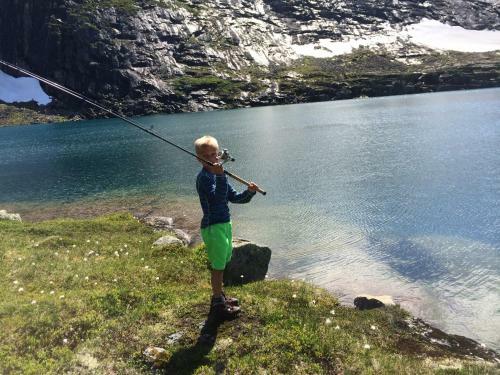 Kj�snes Feriehytter