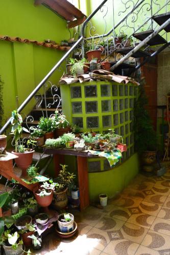 Hostal Aldo's Guest House Belen