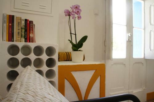 Olive3 Ericeira Hostel
