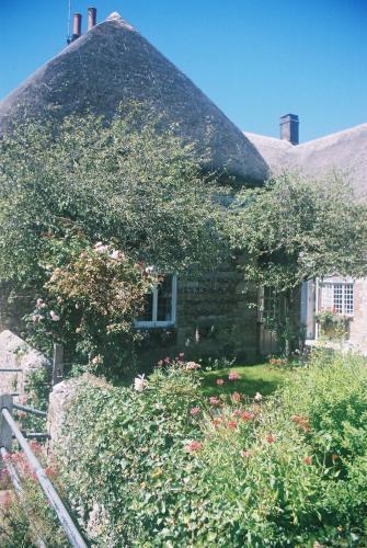 Tudor Cottage B&B Frampton