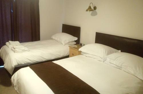 Hostal Byrdir House