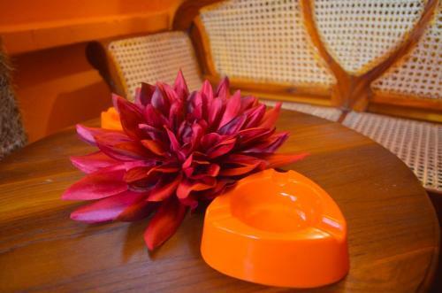 Apartamento Linda Cottage
