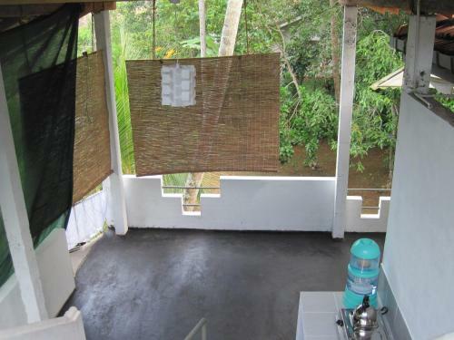 Hostal Jungleside House