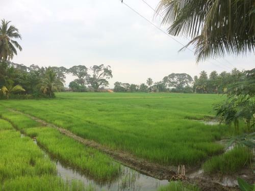 Hotel View Point