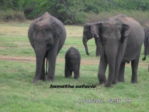 Kamatha Eco Lodge