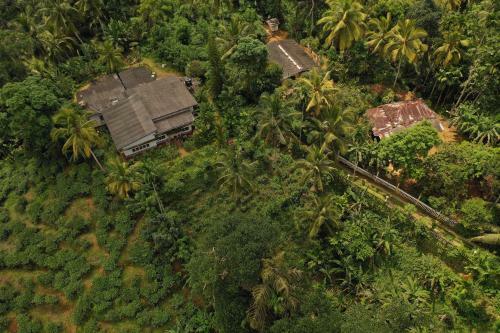Sinharaja Tranquil Homestay
