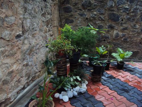 Araliya Home Stay
