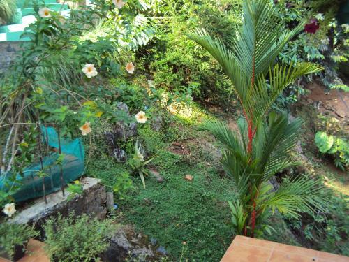 Araliya Home Stay