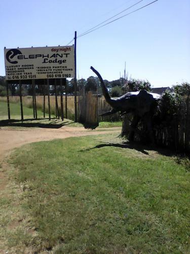 Hostal Elephant Lodge Guesthouse