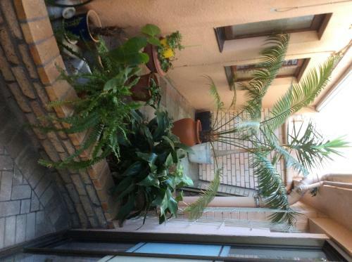 Hostal Markotter Place