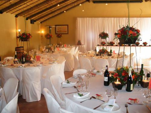Hostal Skilpadvlei Wine Farm