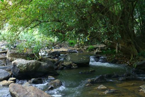 Nivahana Homestay