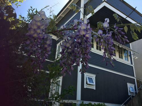 Apartamento Villa Tullgatan Borgholm