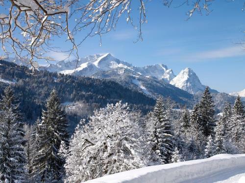 Hotel Zugspitze