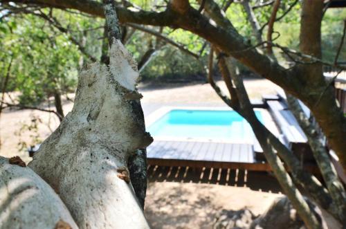 Umthiba Bush Lodge