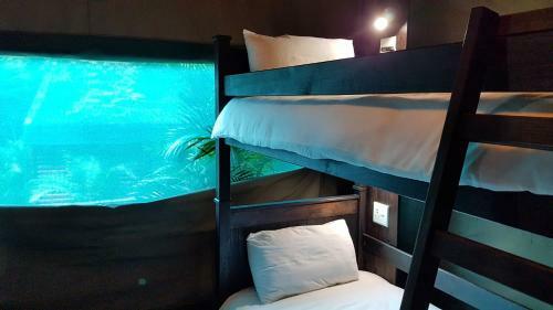 Albergue Monzi Safaris Backpackers