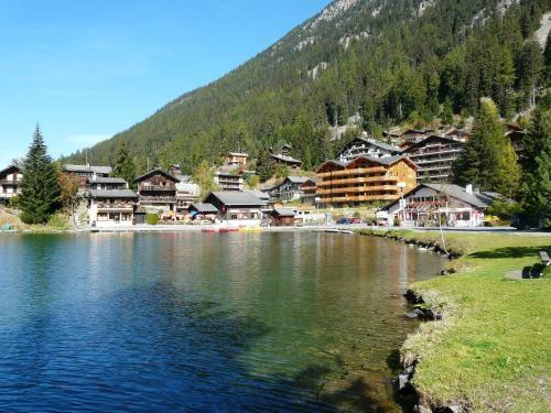 Apartamentos Au Vieux Champex
