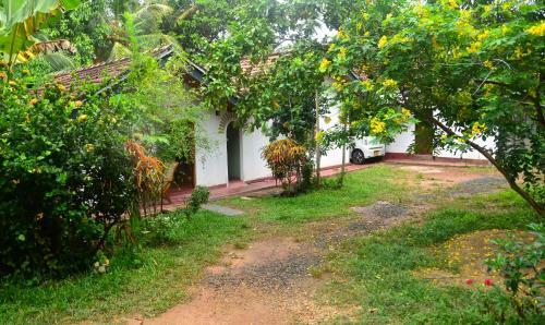 Bed & Breakfast Tropical Paradise
